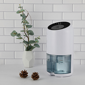 ��˹�� - ȫ�����ݻ�����Ϸƽ̨